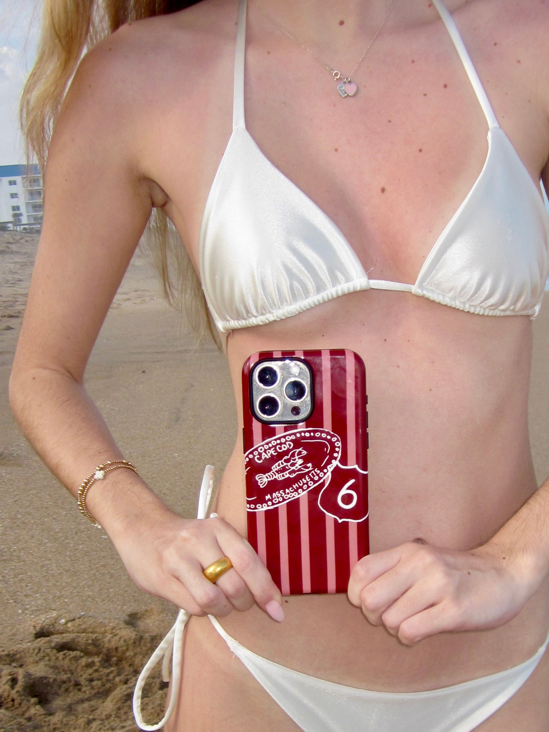 Route 6 Phone Case