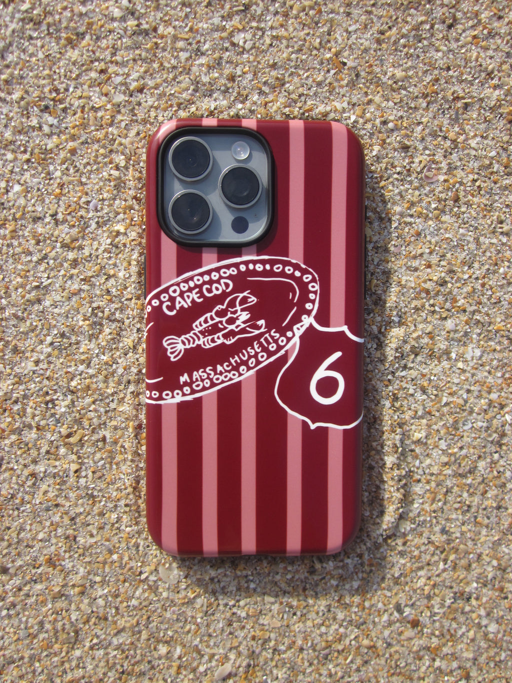 Route 6 Phone Case