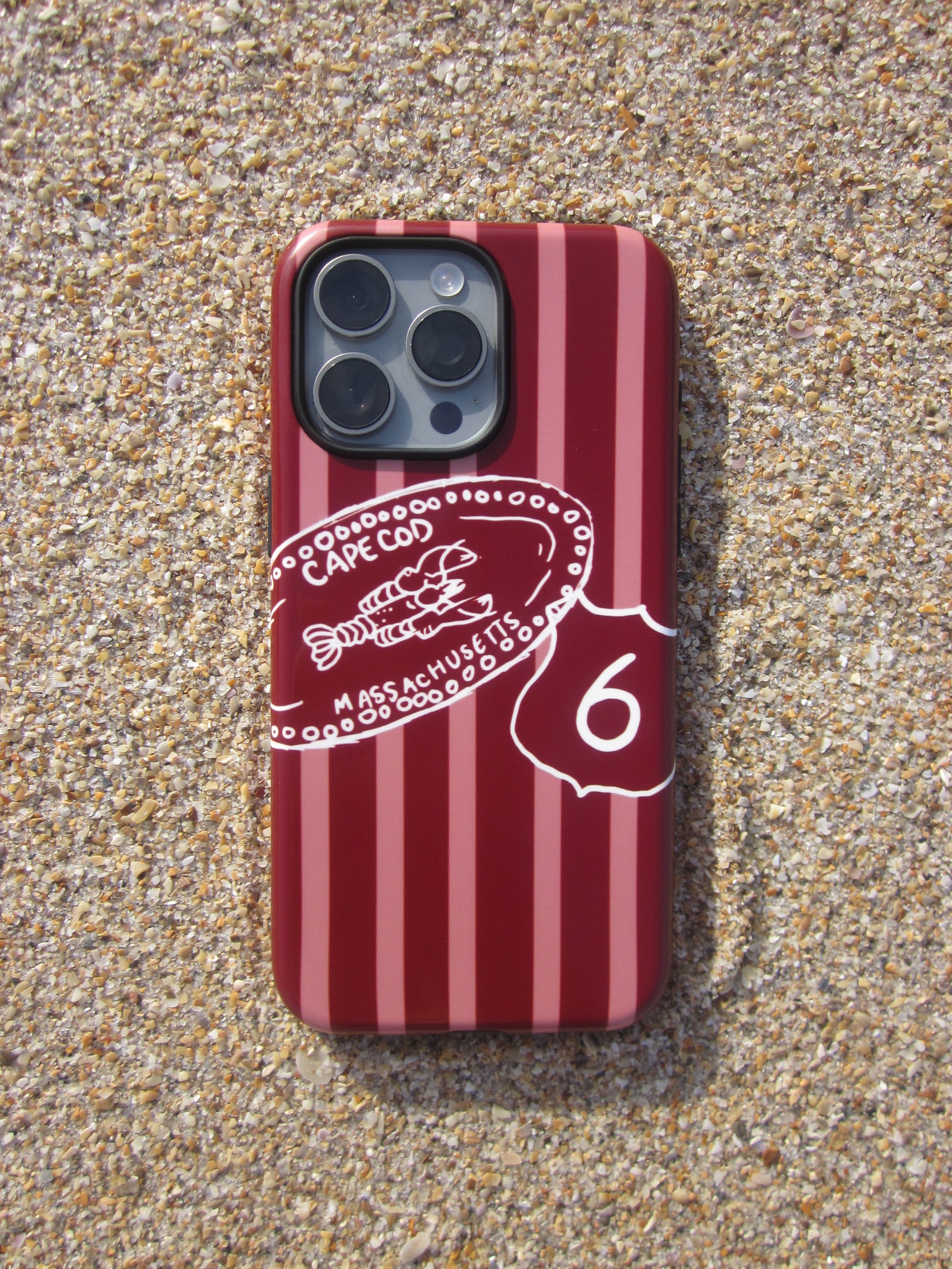 Route 6 Phone Case